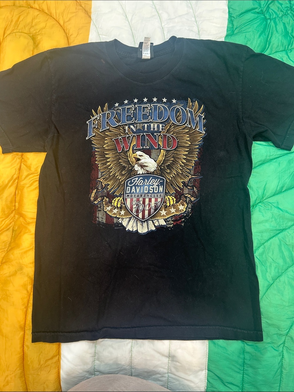 Harley-Davidson Black Short Sleeve Tee with Eagle 'Freedom in the Wind' Graphic